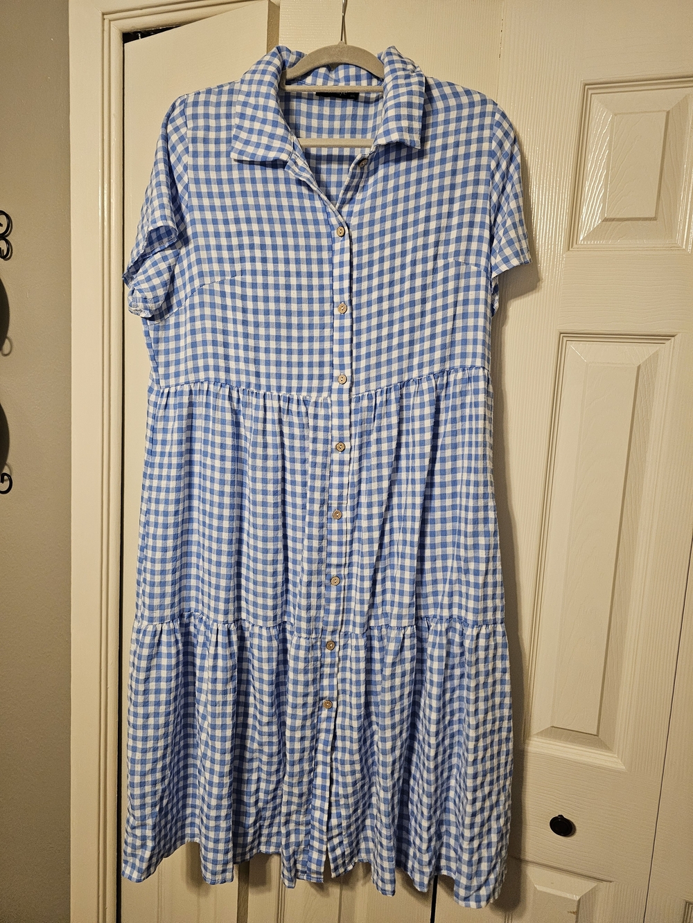 Blue Gingham Button-Front Women's Dress